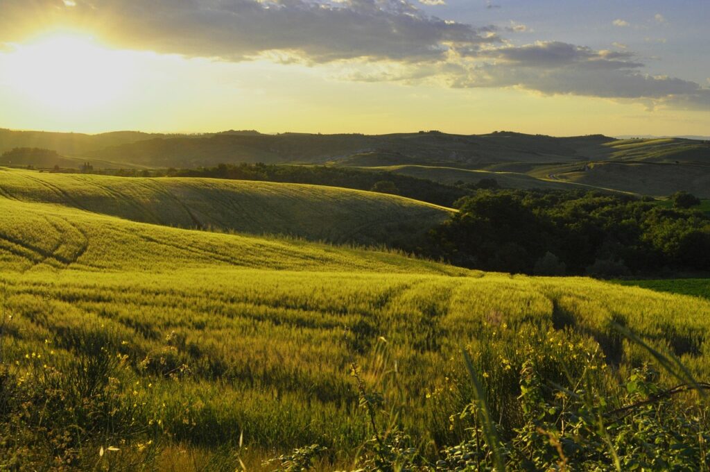 les collines verdoyantes de Toscane