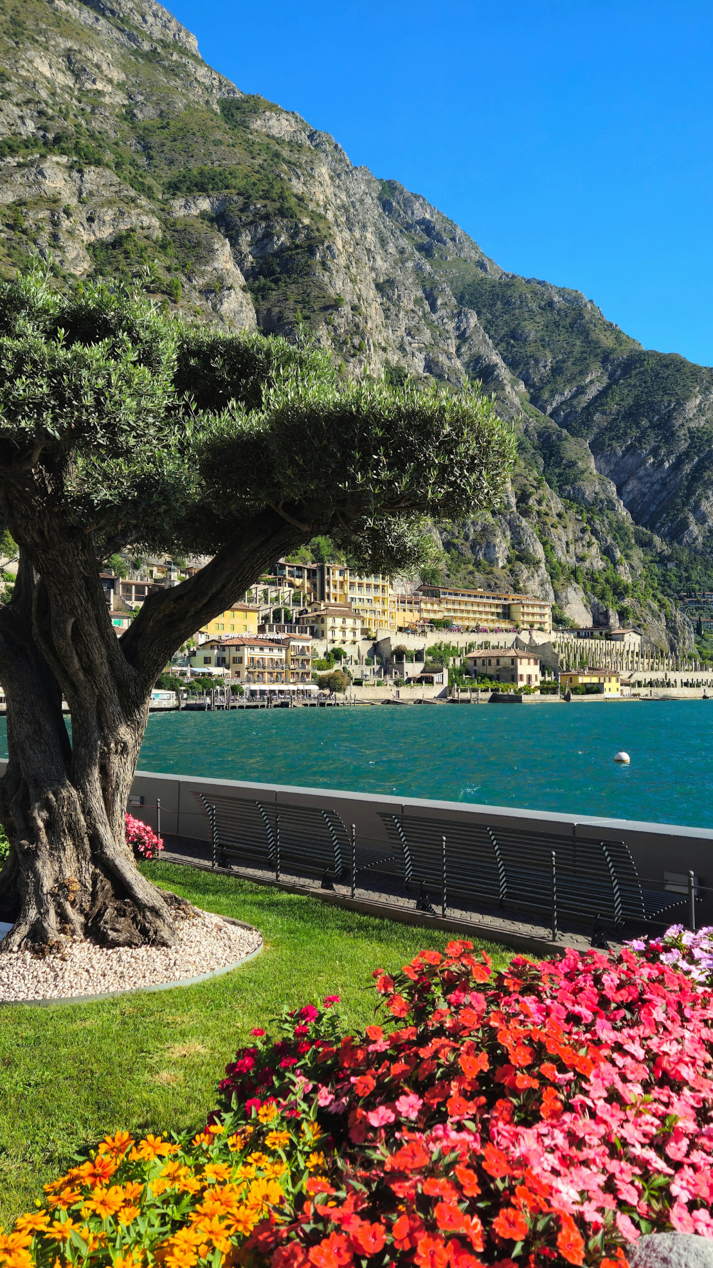 Organisation d'un voyage au Lac de Garde