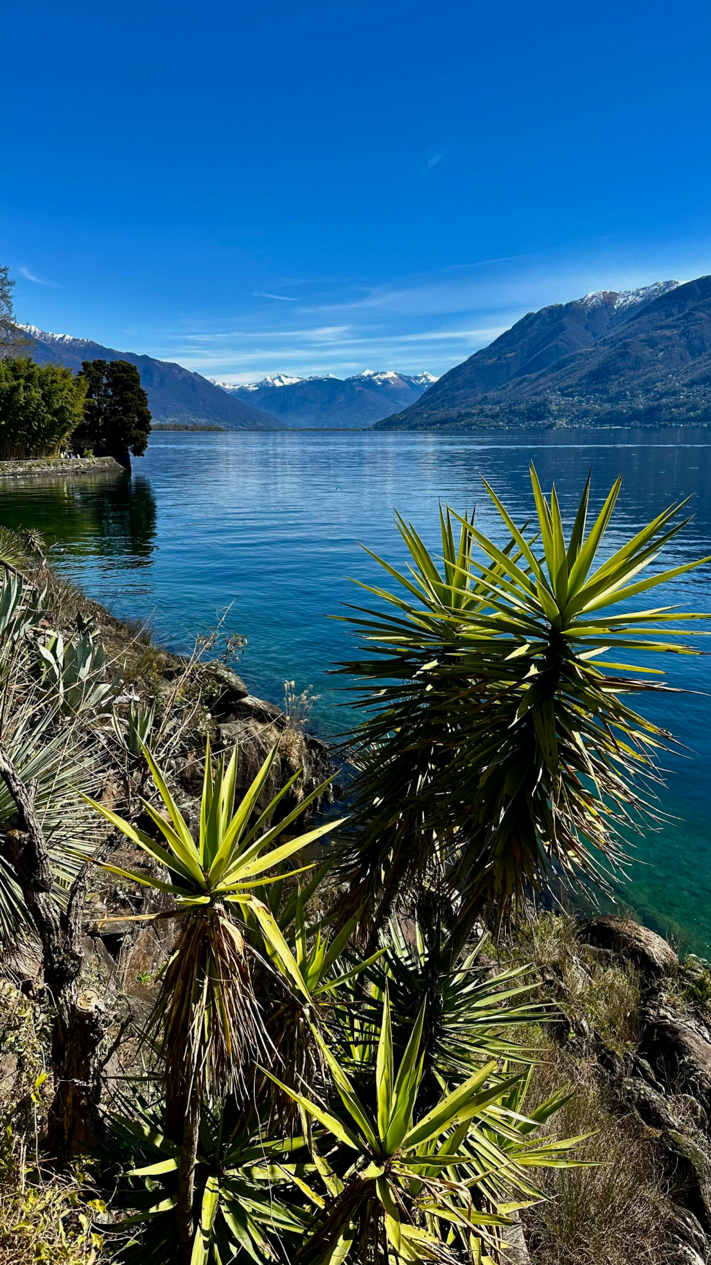 Organisation d'un voyage au Lac Majeur